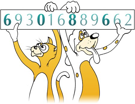 Cat and dog with numbers
